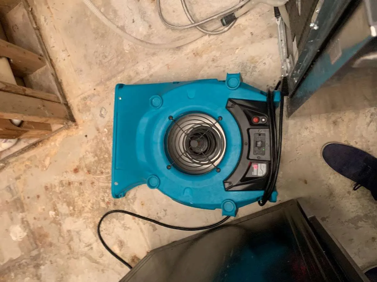 Air mover drying equipment for Mold Remediation & Removal in Mandeville